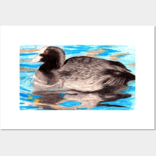 Coots are Cute Posters and Art